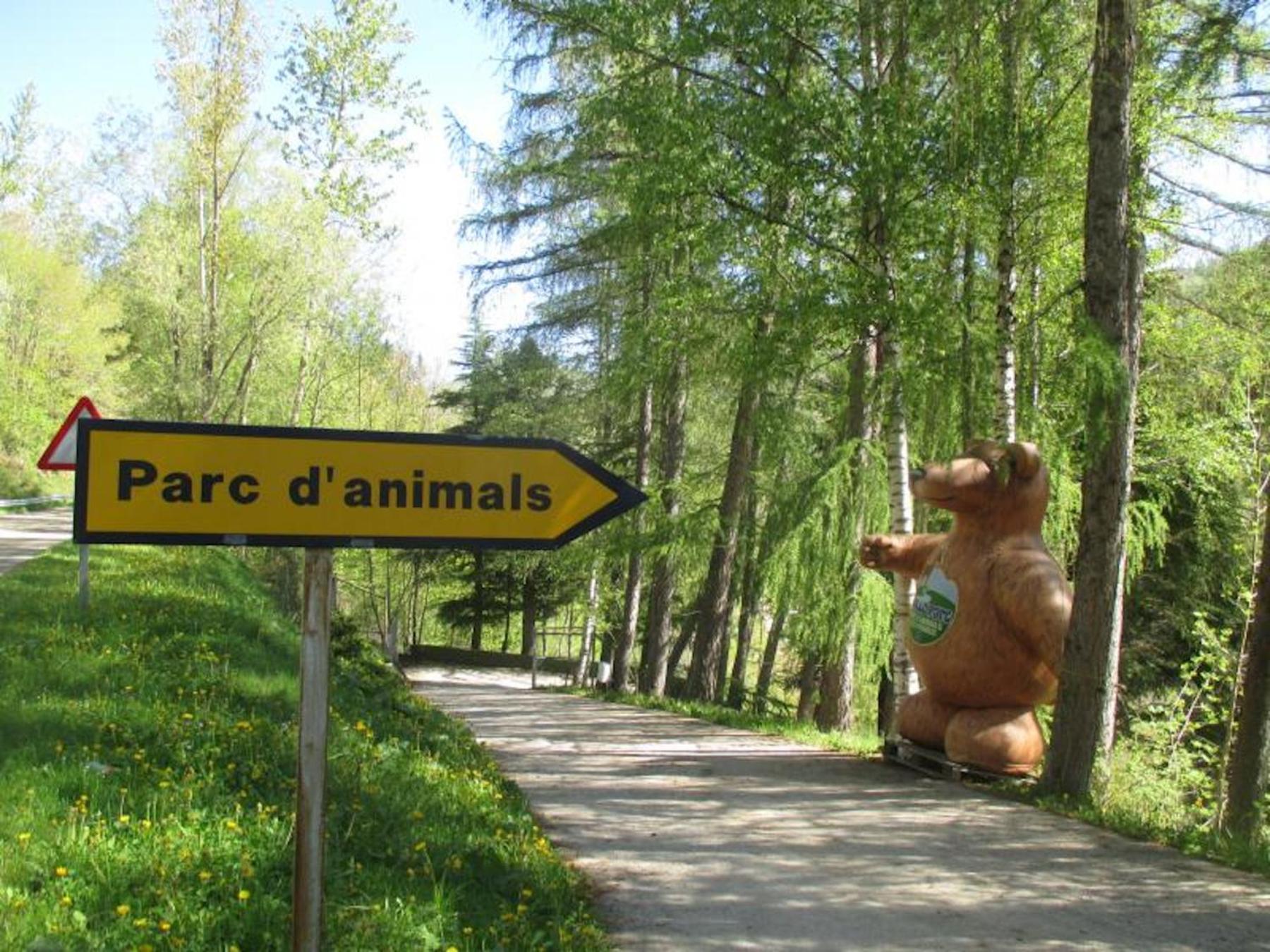 El Descans De L'Oreneta Camprodon Zewnętrze zdjęcie